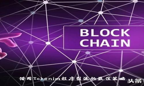 借用Tokenim程序引流的最佳策略
